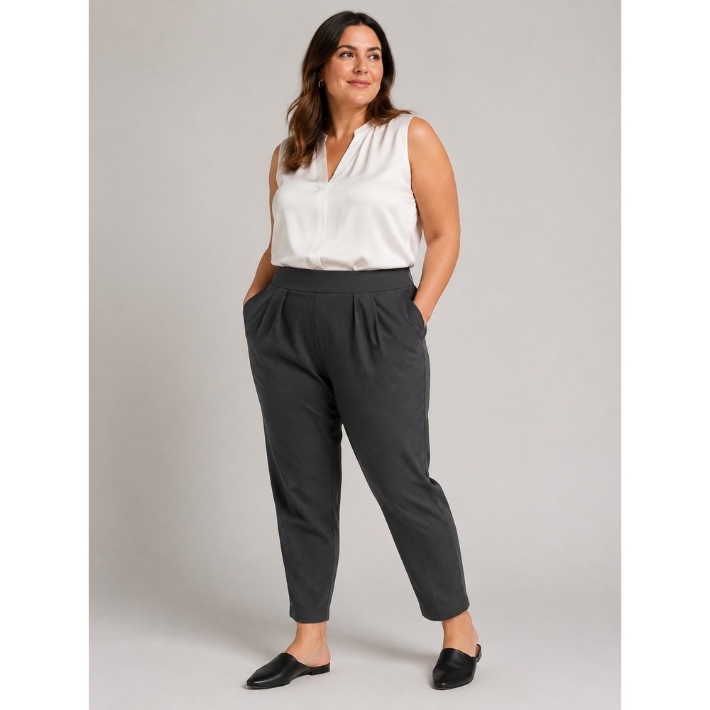 Modern Ambition Pull On Ponte Ankle Pants XXL Gray Pleated Stretch NWT
